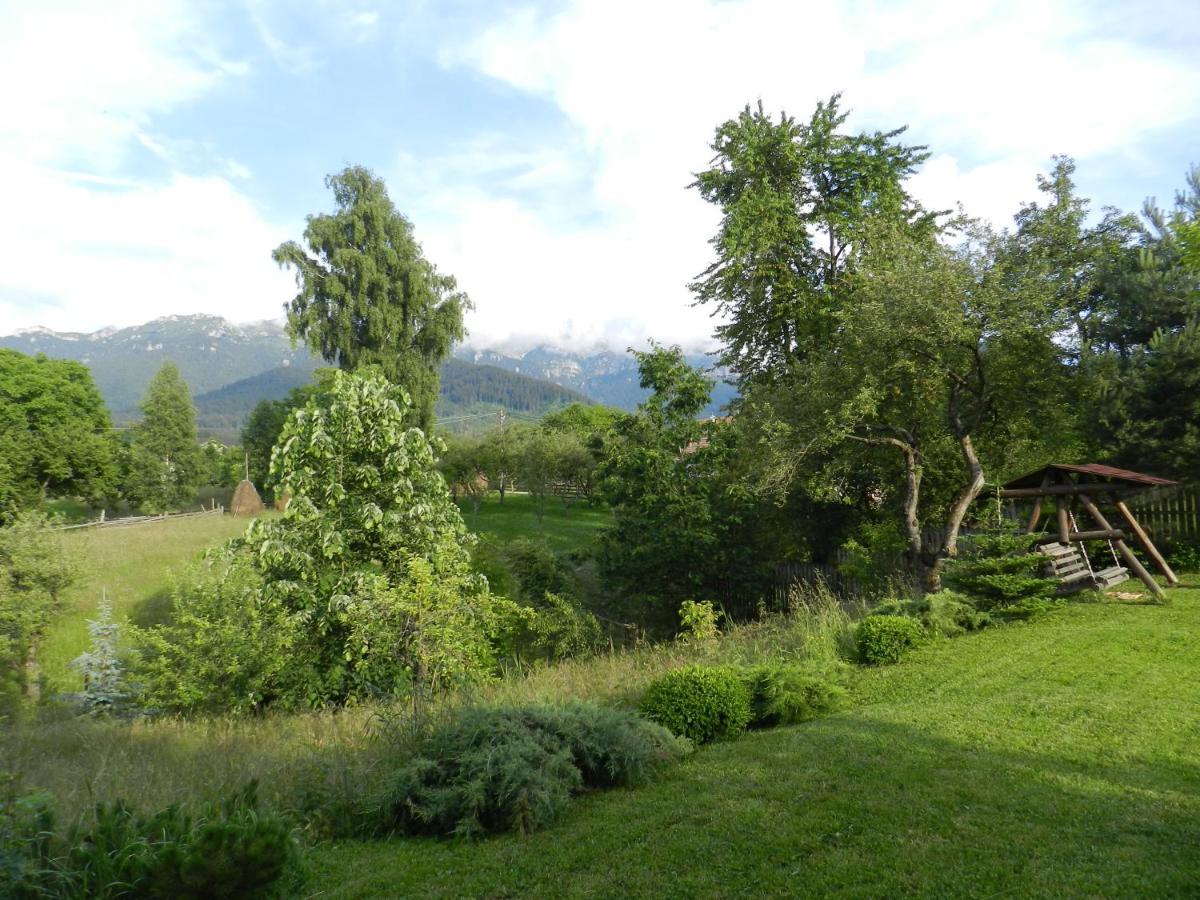 Cabana Festung Bran  Exteriör bild