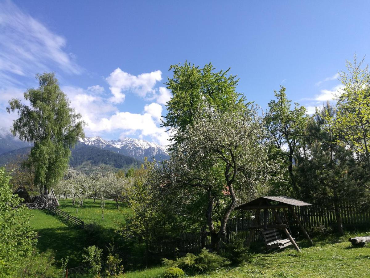 Cabana Festung Bran  Exteriör bild