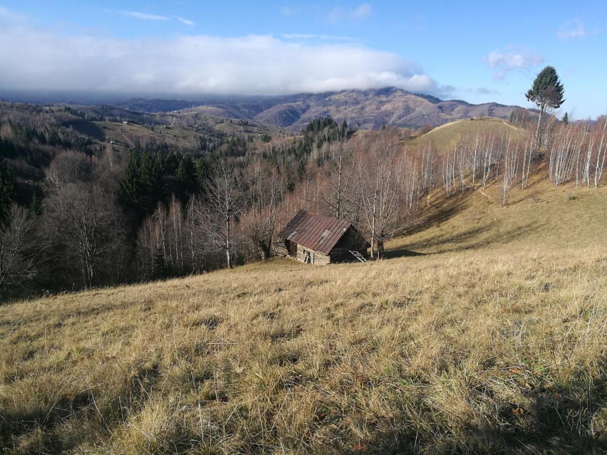 Cabana Festung Bran  Exteriör bild